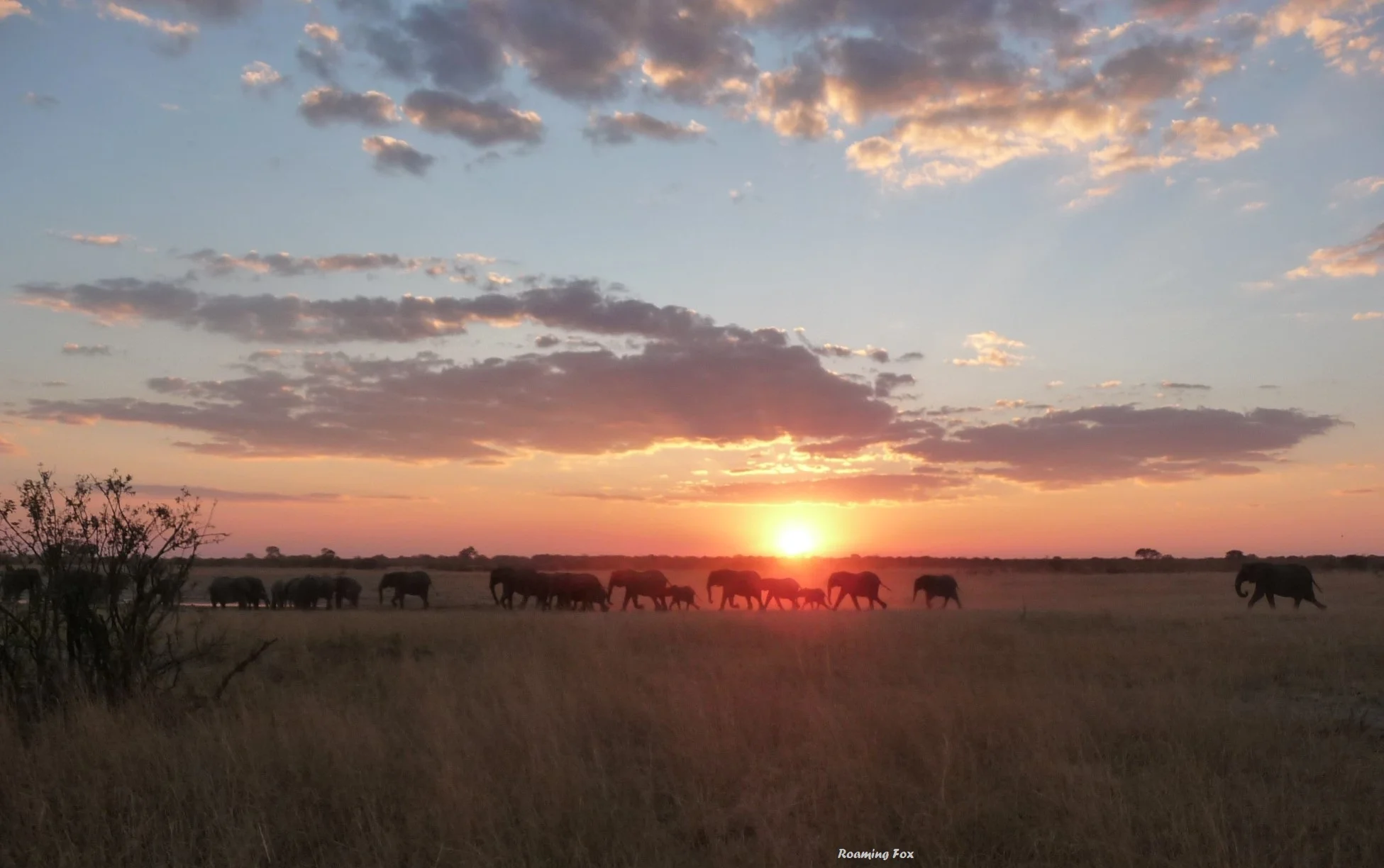 African Sonrise ‎– African Sonrise s-l400.jpg